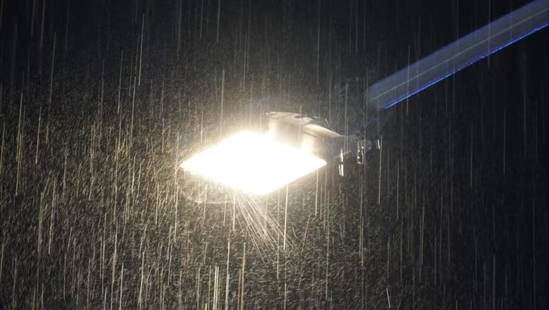 陰雨連七日，燈亮如初見的秘密