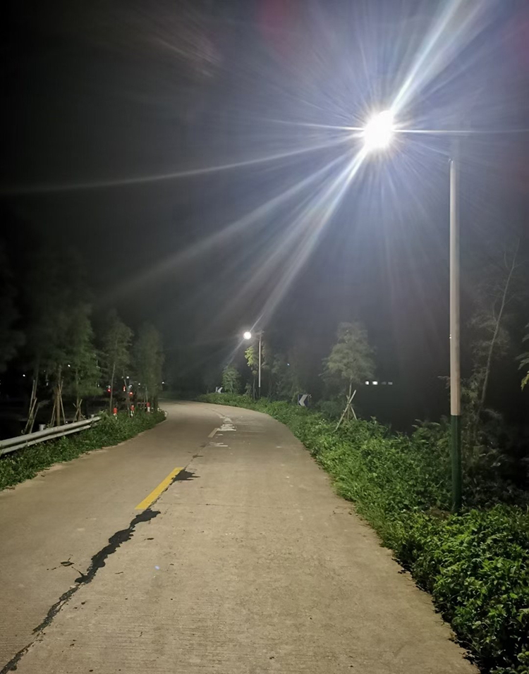 太陽(yáng)能路燈_四川太陽(yáng)能路燈_南德